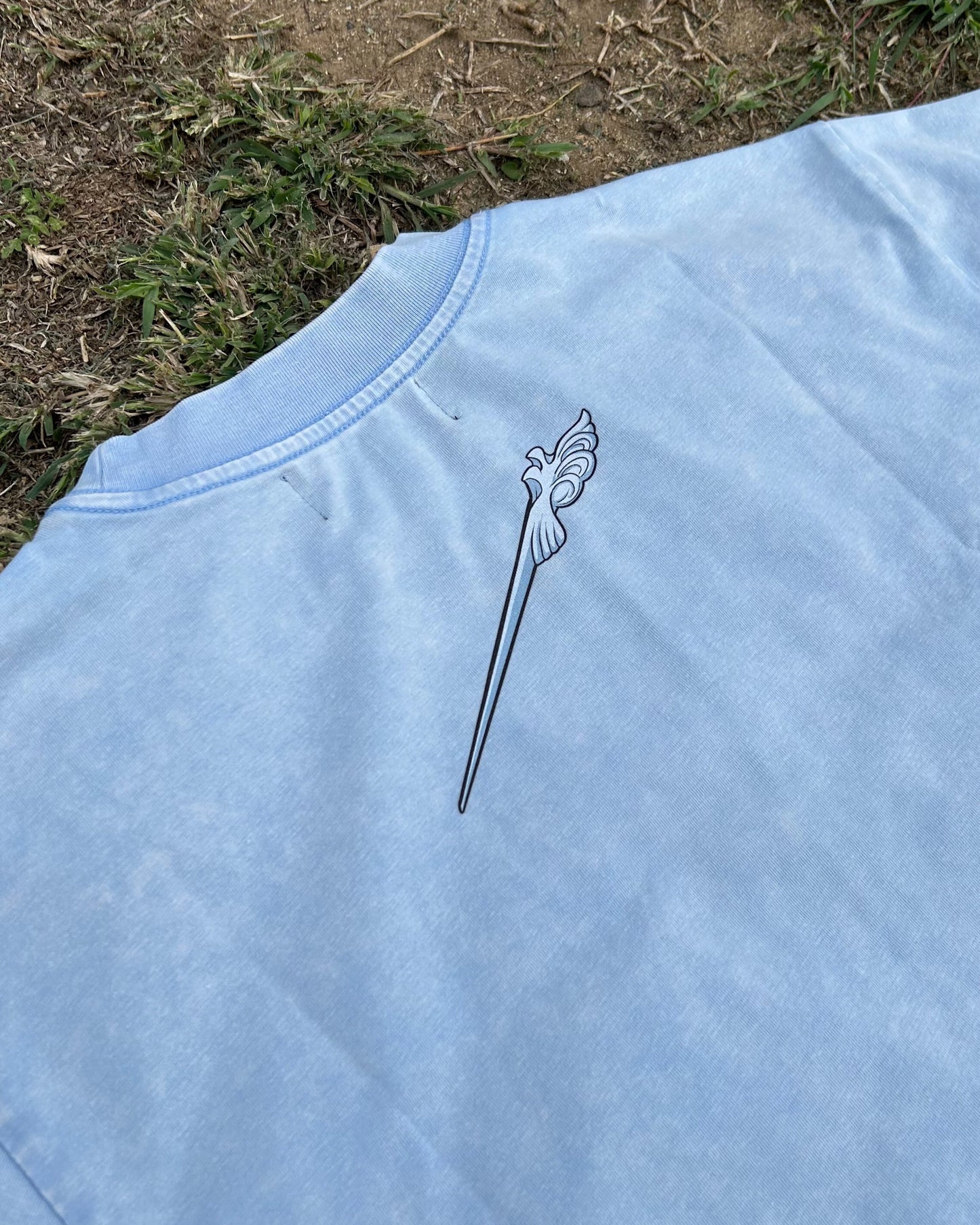 Veiled Desire Crop Tee